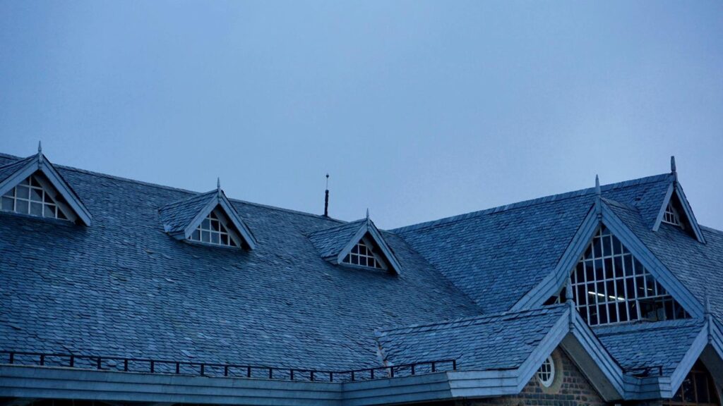 roofers near me, fascia board repair, ridge capping repair, skylight installation, skylight repair, roof leak, roof repair services, home roofing repair, roof specialists