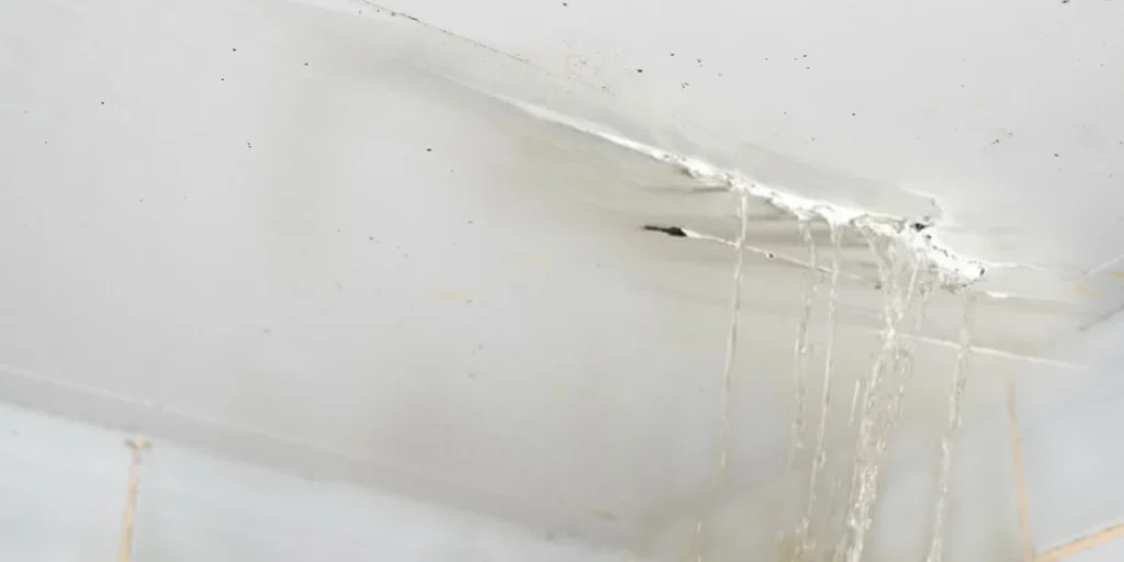 roofers near me, fascia board repair, ridge capping repair, skylight installation, skylight repair, roof leak, roof repair services, home roofing repair, roof specialists